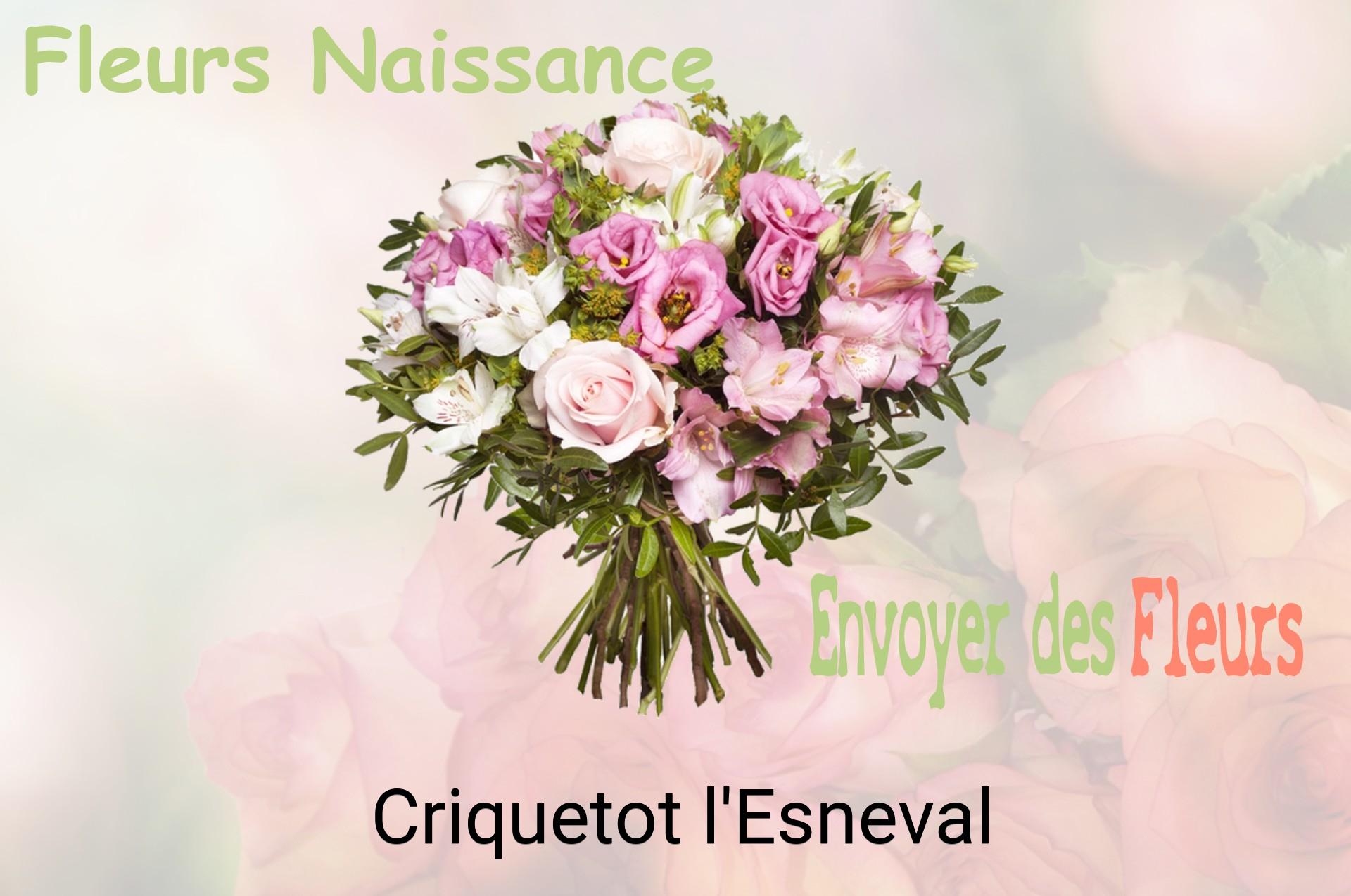 Bouquet de fleurs de naissance livré à Criquetot-l'Esneval